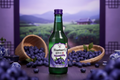 Mr. Gordito Soju Blueberry - Big Fat Mao